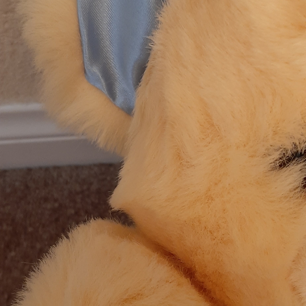 Teddy bear - Picture 4 of 5
